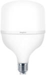 BRAYTRON Bry-premium-28w-e27-t100-6500k-led Bulb (br-ba13-32823)