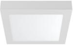 BRAYTRON Bry-smd-srp-12w-sqr-wht-3in1-led Panel Light (br-bp04-61280)