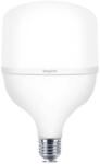 BRAYTRON Bry-premium-18w-e27-t80-3000k-led Bulb (br-ba13-31820)