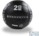  Centr x HYROX Perform sorozat WALL BALL 2 kg (HWB2)