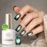 BORN PRETTY Cat Magnetic gél lakk 10 ml - MY128 (62256-2)