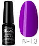 Profinails Gel Lac LED/UV lakkzselé 6gr Neon Collection No. N-13 (13209)