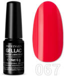 Profinails Gel Lac LED/UV lakkzselé 6gr No. 067 (8811)