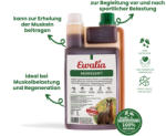  EWALIA Ortho vitality folyadék - az izmok támogatására - 1 L
