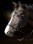 Harry's Horse Anatomic Rosegold kantár