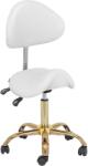 Physa Scaun cu șa - 51 - 65 cm - 150 kg - alb/auriu PHYSA MANNHEIM WHITE_GOLD (PHYSA MANNHEIM WHITE_GOLD)