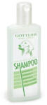 Gottlieb gyógynövényes kutyasampon 300 ml - webshop