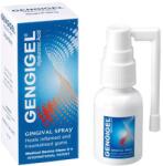 Ricer Farma Spray Gengigel, 20 ml, Ricerfarma