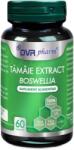 DVR Pharm Tamaie extract, 60 capsule, DVR Pharm
