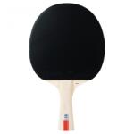 STIGA React Pingpongütő