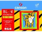 Canson Hârtie colorată A3, amestec de 10 culori, 80g „Școală