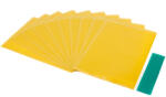  GLOBIZ Ragadós rovarcsapda - 250 x 170 mm - 10 db (11379)