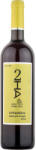 2HA Pinot Gris Orange Ceramica 2025
