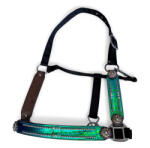  Cayuse Bronco Halter kötőfék - Full Cap Holo Turquoise