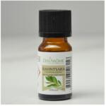 Zen Arome Ravintsara (madagaszkári kámforfa) Zen'Arôme 100%-os tisztaságú természetes illóolaj (Cinnamomum camphora) 10ML (HE-RAV-6)