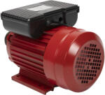 Micul Fermier Motor electric Micul Fermier 2.5KW, 3000 rpm, carcasa fonta (GF-1158)