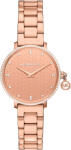 Michael Kors MK7573 Ceas