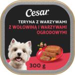Cesar Supă de terină cu legume, 300 g, cu carne de vită și legume de grădină