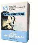 Mental Focus Un subiect de conversație grozav pentru iubitorii de pisici