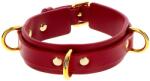 Taboom D-Ring Collar Deluxe