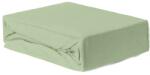 Brius Cearceaf Brius cu elastic Jersey, 160x200, 50% poliester , 50% bumbac, Material moale si prietenos cu pielea, Mint (BB5942632016927RIZ)