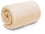Brius PILOTA Brius UNI Microfibra, 200x200, 300g, Matlasata cu ata pentru o rezistenta indelungata, Bej (BB5942632025028RIZ)