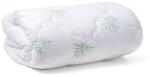 Brius Pilota Brius Matlasata De Iarna, Aloe Vera 200x220, Matlasata cu ata pentru o rezistenta indelungata, 200 (BB5942632011915RIZ)