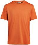 Lundhags Férfi póló Lundhags Tived T-shirt M ruhaméret M (44333-26-91002-M)