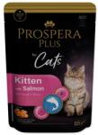 Prospera Plus Pachet Prospera Plus Pisicuțe, Somon, Morcov 85g (1513-10100)