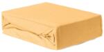 Brius Cearceaf Brius cu elastic Jersey, 100x200, 50% poliester , 50% bumbac, Material moale si prietenos cu pielea, Orange (BB5942632010901RIZ)