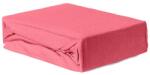 Brius Cearceaf Brius cu elastic Jersey, 100x200, 50% poliester , 50% bumbac, Material moale si prietenos cu pielea, Fuchsia (BB5942632015104RIZ)