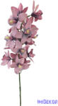  Pasztel színű cymbidium - Mályva