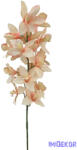  Pasztel színű cymbidium - Barack