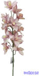 Pasztel színű cymbidium - Cirmos