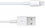  Cablu iPhone iPad 3 mini iPad iPod Touch 1m (14618)
