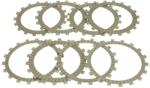 TRW Discuri de Frecare a Ambreiajului Bmw R 1200/1250 2013-2021 BMW R (MCC616-8)