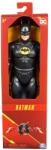 Spin Master Batman Figurina The Flash 30Cm (6069180_20145525) - ejuniorul Figurina