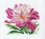  Keresztszemes hímzőkészlet Rózsaszín bazsarózsa 10x11 cm (0-119)