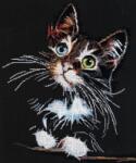  Keresztszemes hímzőkészlet Abris Art Bolyhos kiscica 30x35cm (AH-062)