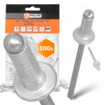 Polax 300x Törhető szegecsek 3, 2x10 mm Alumínium horganyzott Acél Strapabíró Ni 9T (37-005(X6))