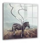 Ora edzett üveg Csendes mechanizmus Zebra konyha - Absztrakt 60x60 (010010500080100270651)