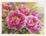  Keresztszemes hímzőkészlet Pünkösdirózsa 40x30 cm (2-35)