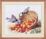  Keresztszemes hímzőkészlet Cinegék és édes cseresznyék 32x24 cm (1-14)