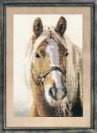  Keresztszemes hímzőkészlet Adel 20x29 cm (1-17)