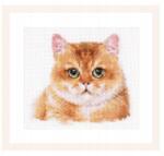  Keresztszemes hímzőkészlet Plüss macska 12x11 cm (1-36)