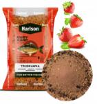 HARISON Horgász csali Harison Nagy Ponty Eper 1kg mix, feeder, kötél, bojli (SILVER-03)