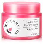 ARIUL Mască de noapte pentru față, Watermelon Hydro Glow, 80 grame, Ariul Masca de fata