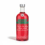  Vodca Absolut Watermellon 40%, 0.7L