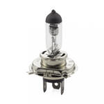 Carguard Bec halogen H4 12V 55 60W +30% intensitate CARGUARD BHA053 (BHA053)