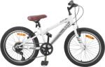 vidaXL 42009747 24 Bicicleta
